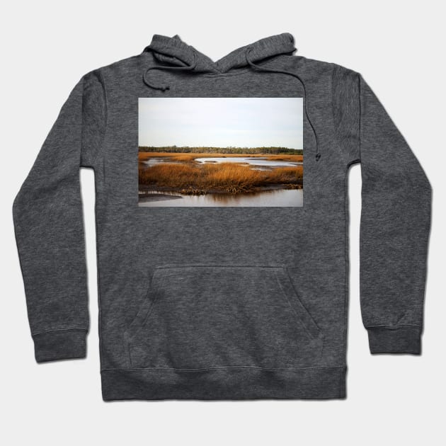 Oyster Beds Hoodie by Cynthia48